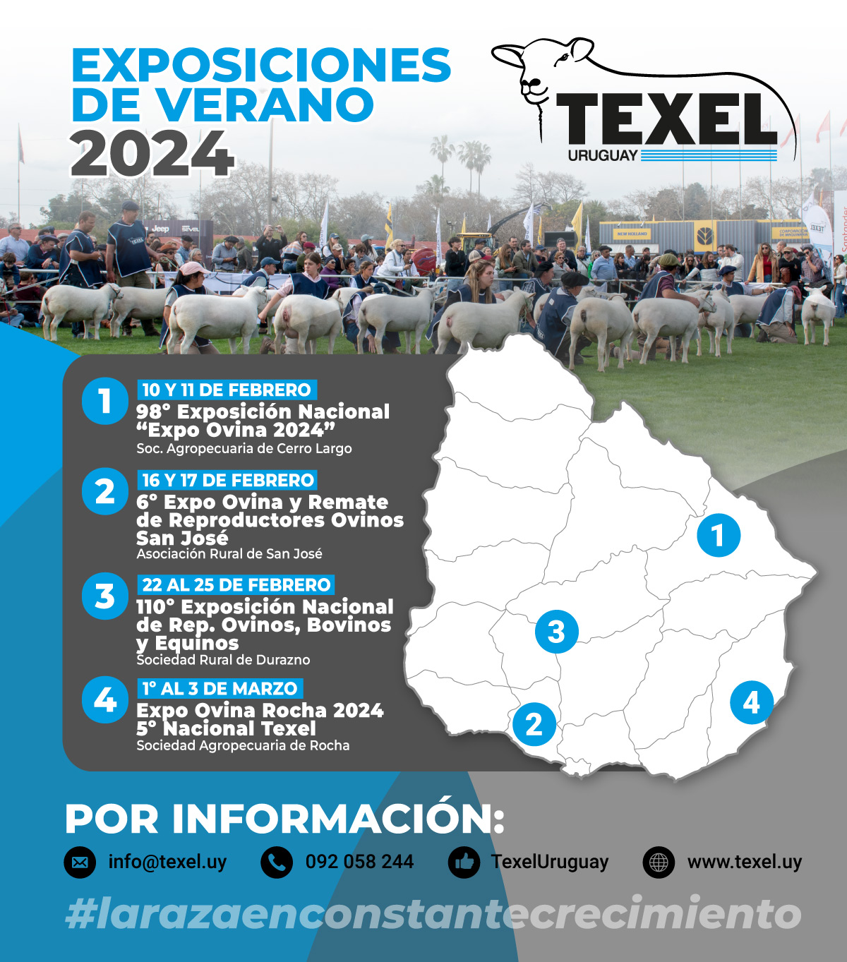 Exposiciones VERANO 2024